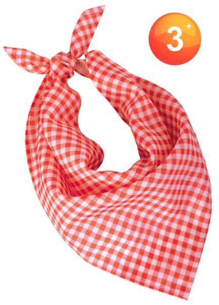 Oktoberfest neckerchief in red and white